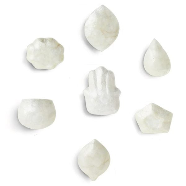 schaaltje schelp capiz