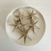 noordliving star s sfeer 2
