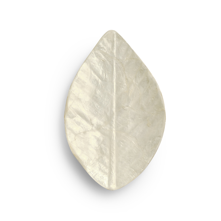 schaaltjeschelpcapiz bananaleaf s