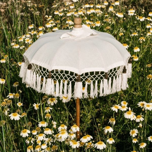 parasol