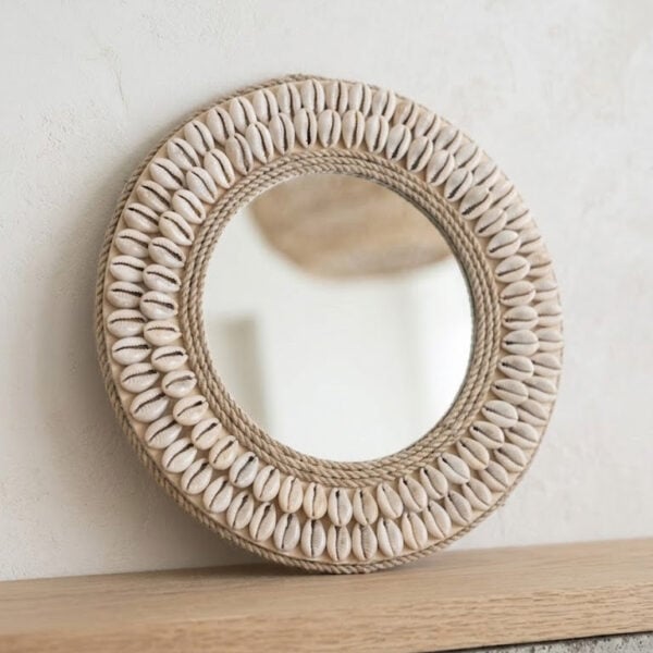 spiegel cowrie 20 cm spiegel cowrie