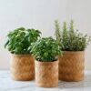 box drum naturel