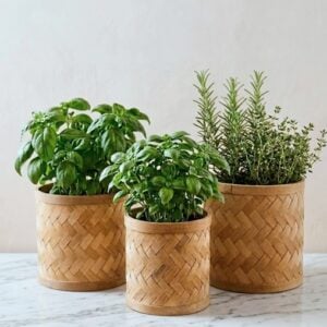 box drum naturel