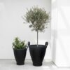box drum naturel