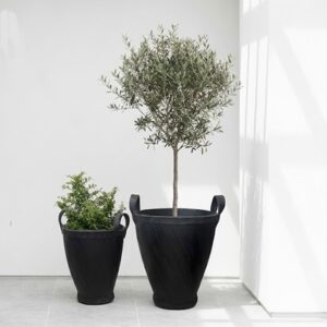 box drum naturel
