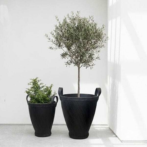 box drum naturel