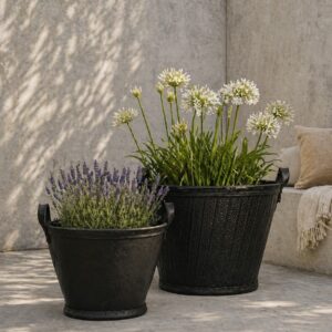 box drum naturel
